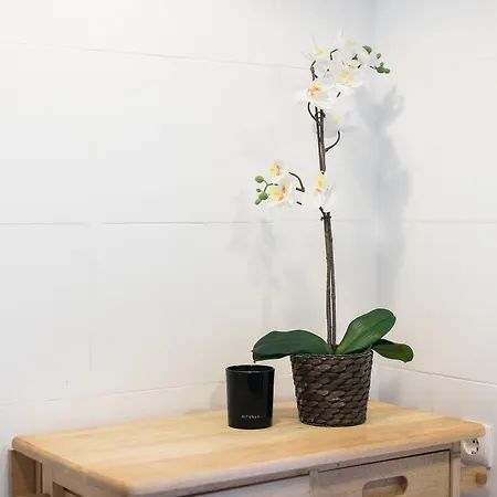 Apartment Your Sao Tome